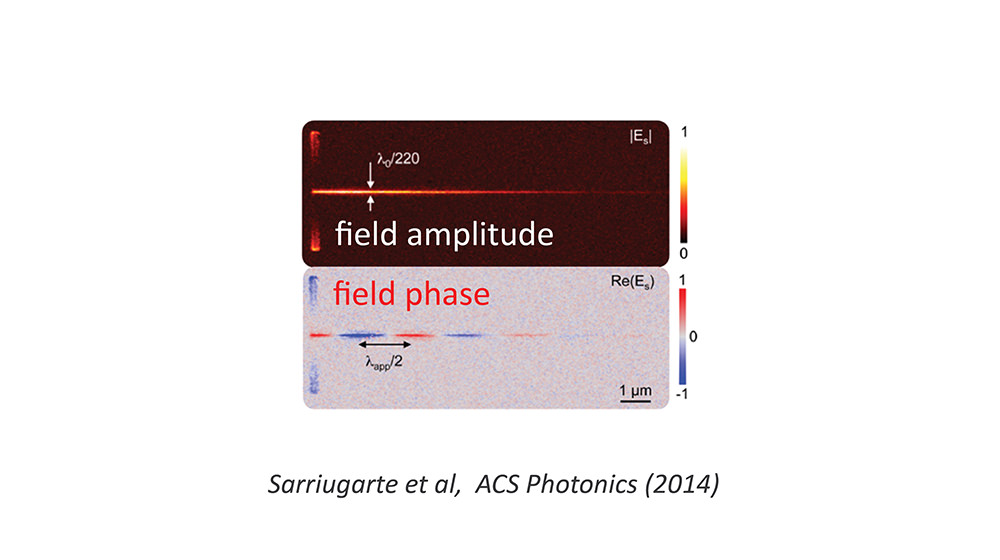 s-SNOM-Electric_field_amplitude_and_phase_mapping.jpg
