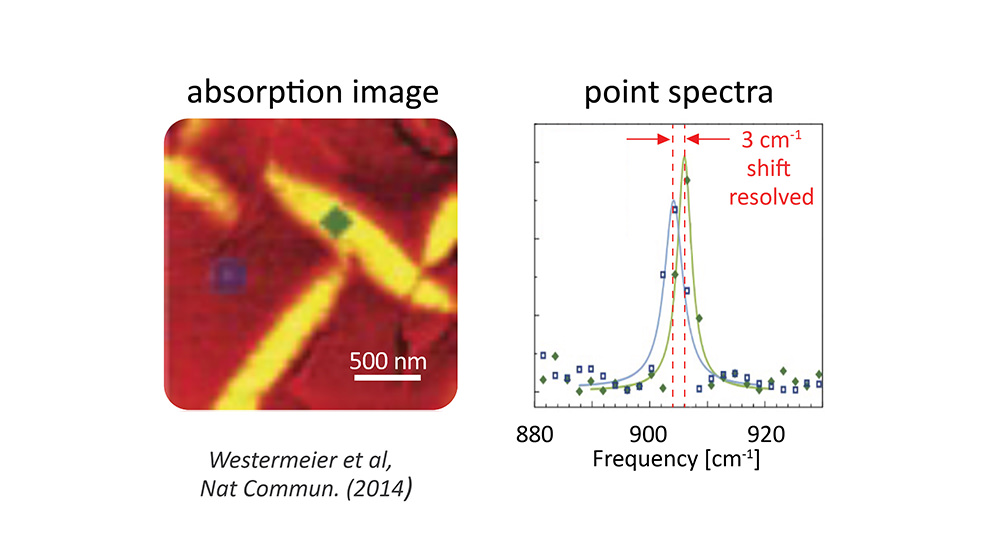 s-SNOM-Nanoscale_imaging__point_spectroscopy.jpg