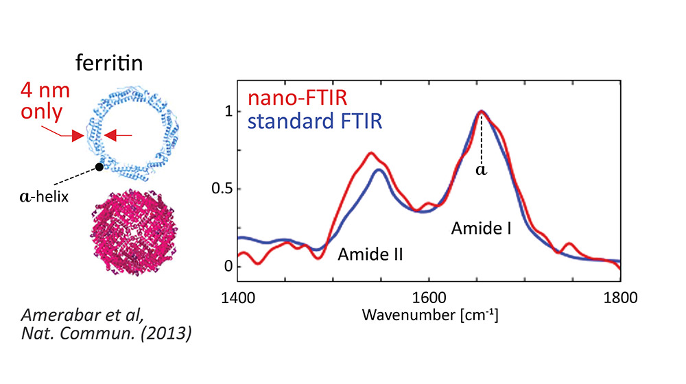 nano-FTIR-best-in-class-sensitivity.jpg