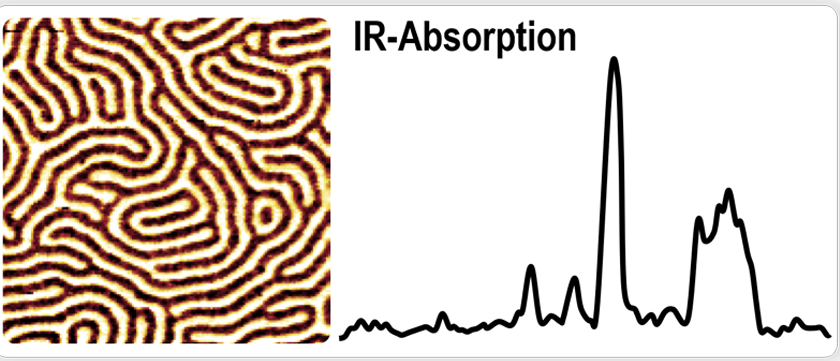 AFM-IR-Imaging-and-Spectroscopy-measurement.png