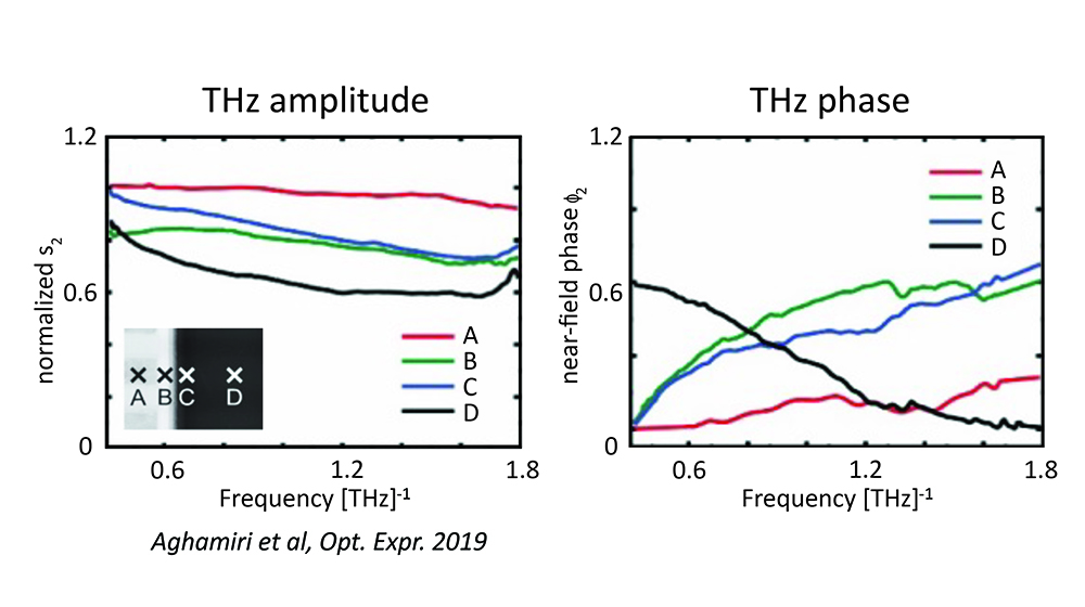 nanoTHz-TDS-Amplitude-_and_phase-resolved_nano-spectroscopy.jpg