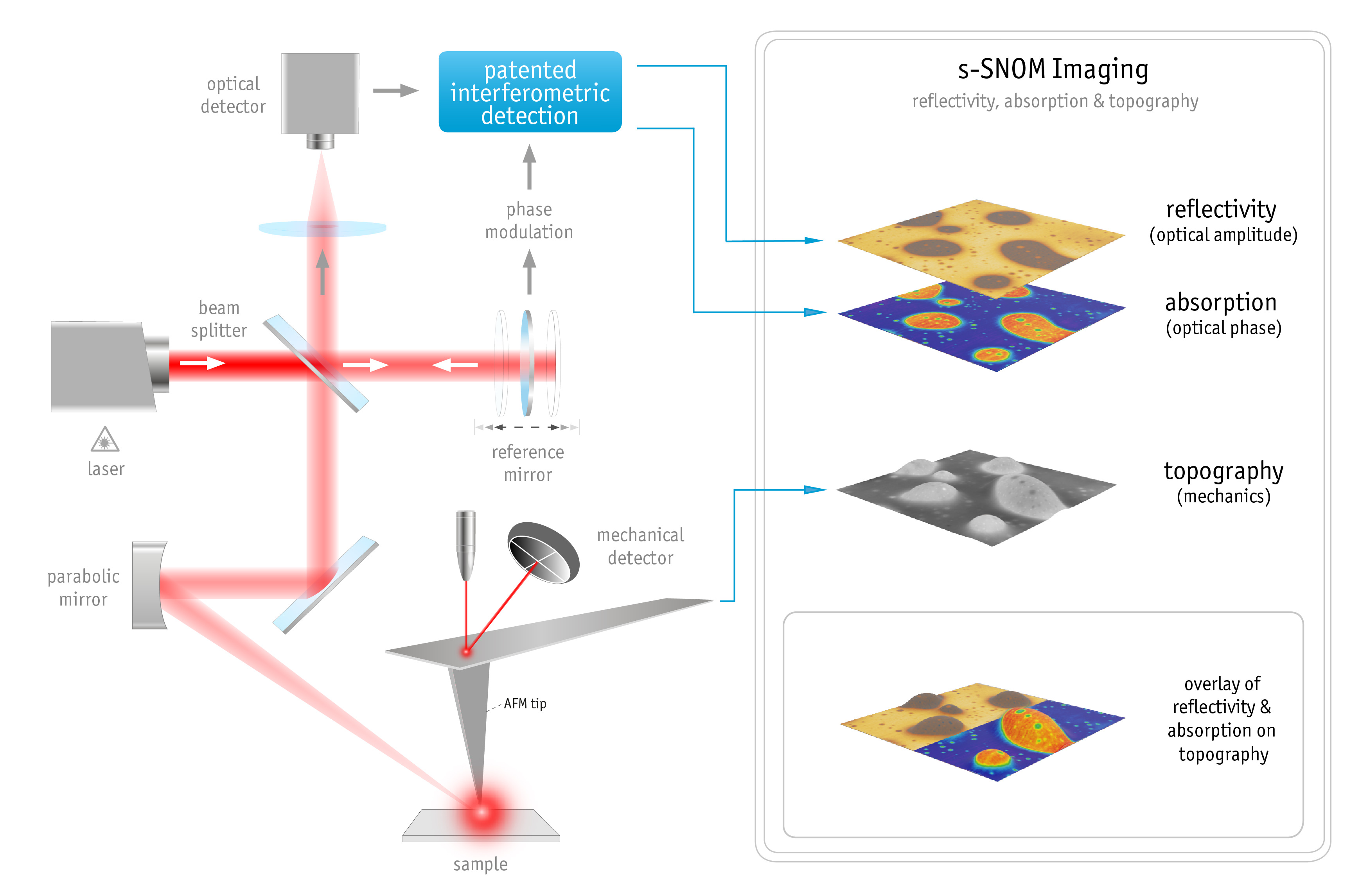 s-SNOM-schematics-3D-final.jpg