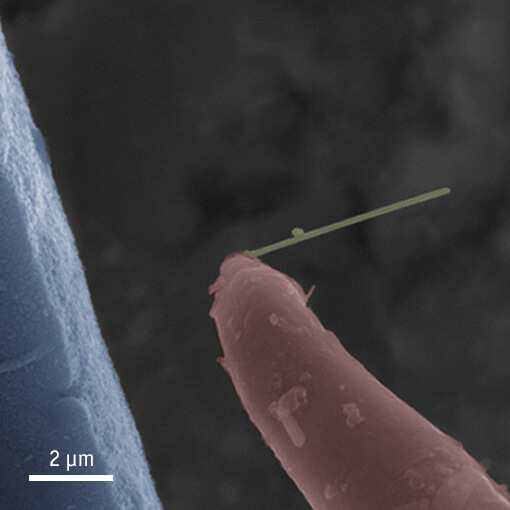 Micromechanical Testing of Silver Nanowires ECS