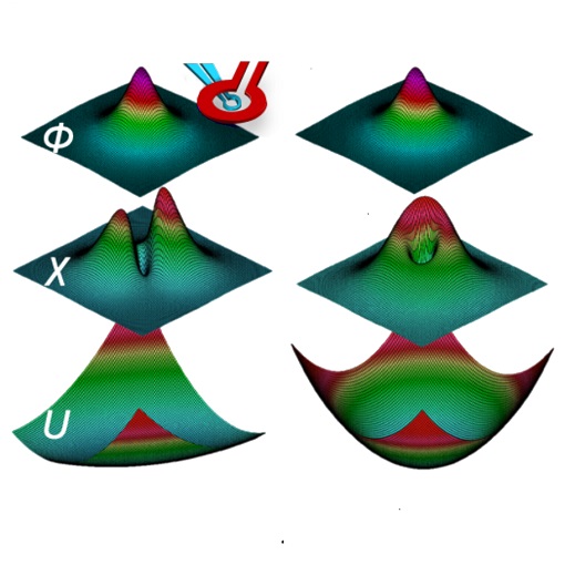 Anomalous vortex dynamics in URu2Si2 ANP101 Serie