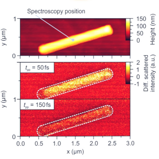 Electronic Motion in Nanowires IR neaSCOPE+fs
