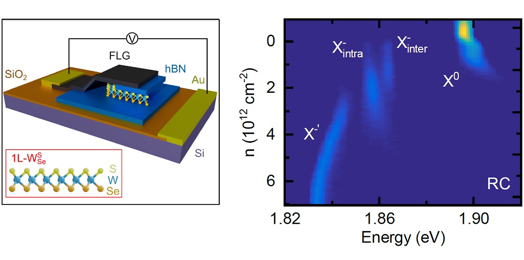 Identifying Charged Exciton Complexes in Janus Monolayers DRY1000