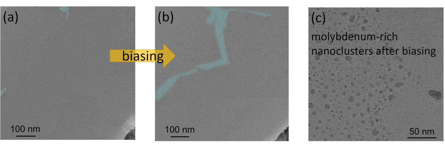 In situ electrical biasing technique in MoS2 closed cycle attoDRY2100 and confocal microscope attoCFM I