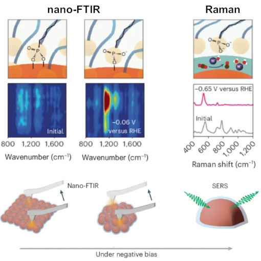 Interface nano Electrochemistry Study IR neaSCOPE TERs
