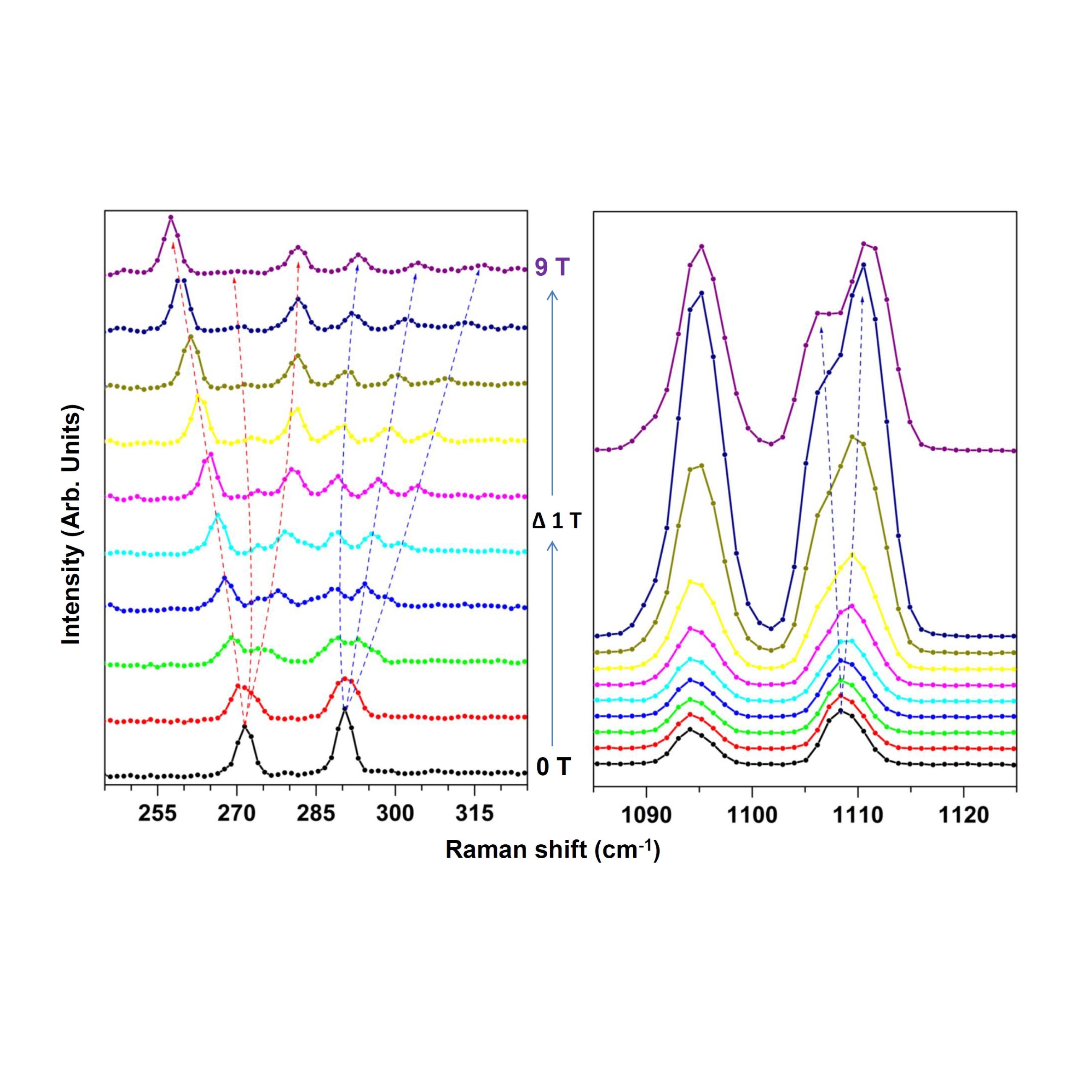 Magnetic Modes in Rare Earth Perovskites: A Magnetic Field Dependent Inelastic Light Scattering study attoRAMAN  attoLIQUID2000