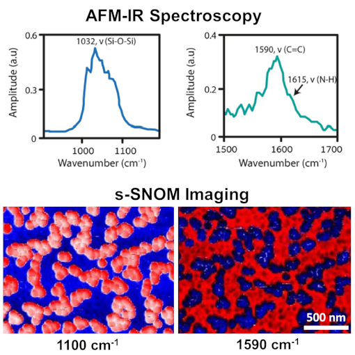Nanoparticle Imprinted Matrices IR neaSCOPE