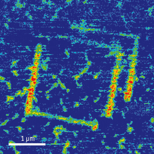 Piezoresponse Force Image on BFO cryogenic atomic force microscope attoAFM for PFM
