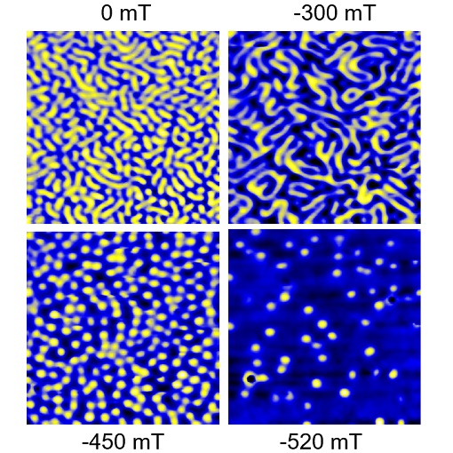 Skyrmions induced by strain gradient attoMFM  attoDRY1000