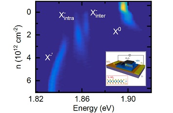 Identifying Charged Exciton Complexes in Janus Monolayers DRY1000