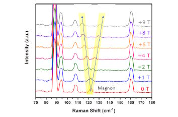 Quasi 2D Magnon identified via Magneto Raman Spectroscopy attoDRY1000  attoCFM